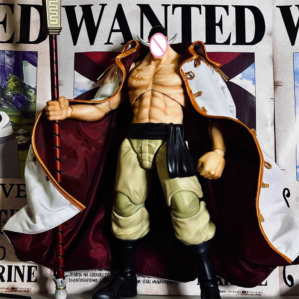 Handmade Classic Japanese Anim - Windbreaker Anime Merchandise 评论和价格