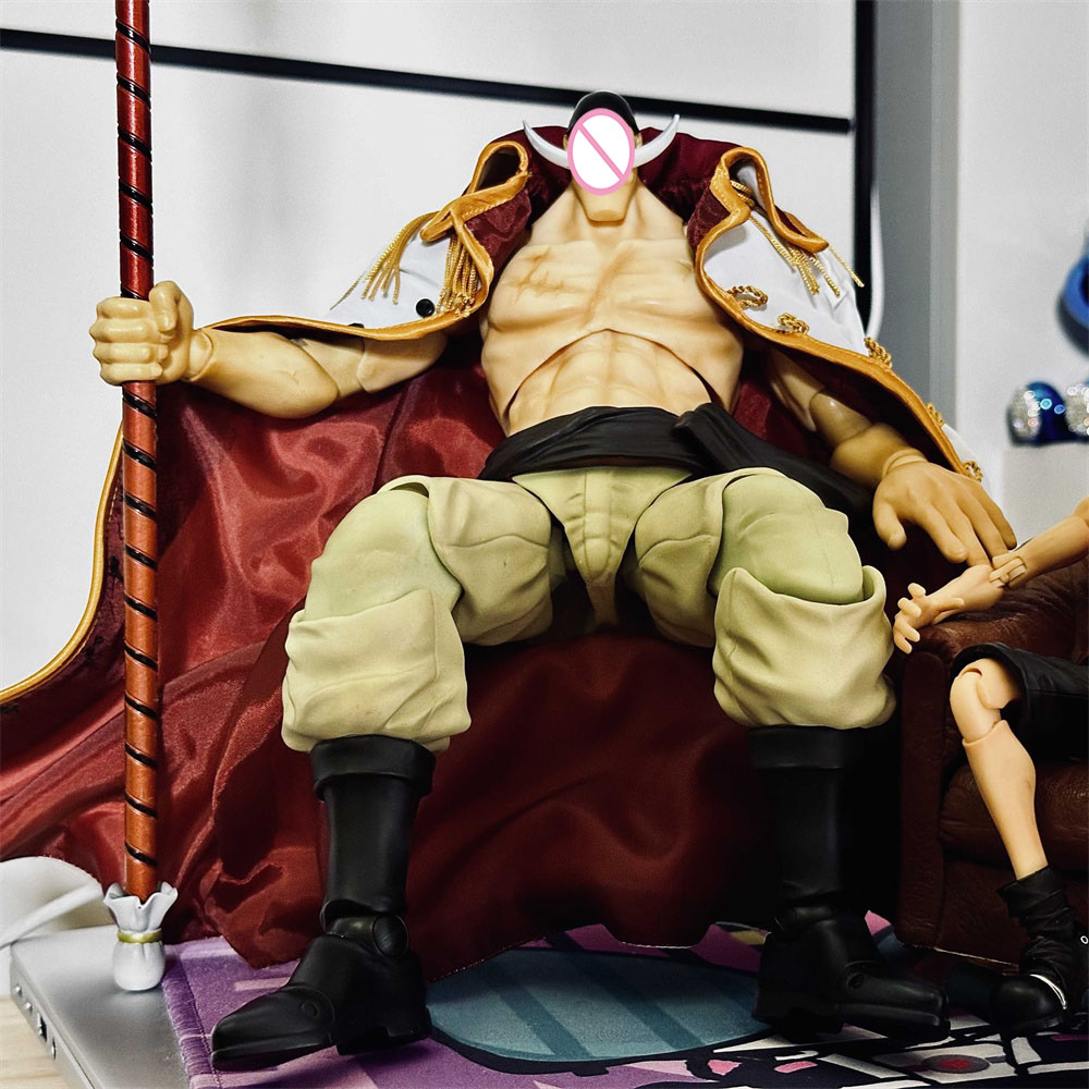 Handmade Classic Japanese Anim - Windbreaker Anime Merchandise 评论和价格