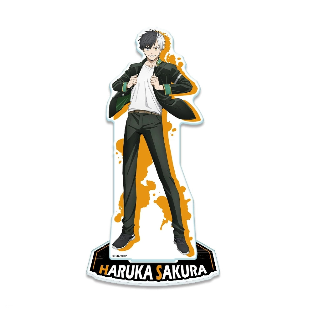 2026 WIND BREAKER Acrylic Stan - Windbreaker Anime Merchandise 评论和价格